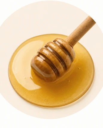 KAN TOTEM Honey USA